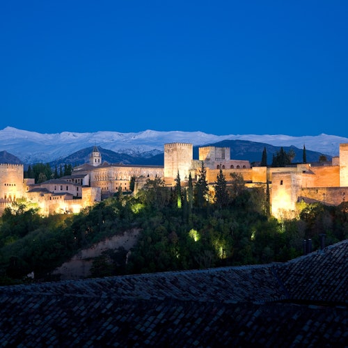Alhambra y Palacios nazaríes: Entrada sin colas + Tour nocturno