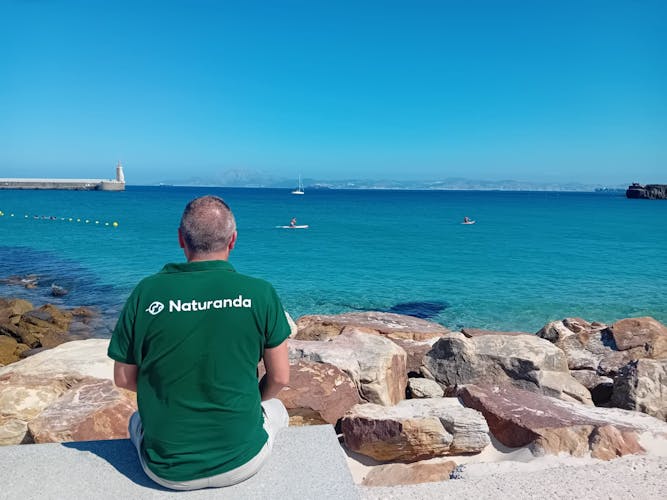 Avistamiento de delfines en Tarifa desde la costa de Cádiz con recogida