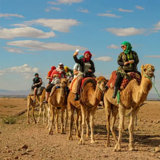 Marrakech: paseo en camello por el desierto de Agafay, cena y espectáculo