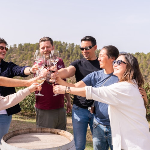 Montserrat: Excursión de un día desde Barcelona + Comida