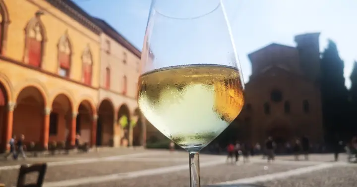Bolonia: experiencia enológica guiada en el centro de la ciudad
