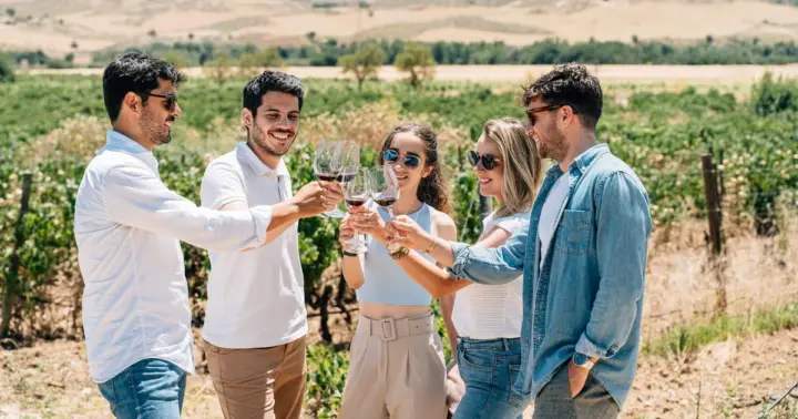 From Madrid: Toledo Guided Tour & Winery Visit with Tasting