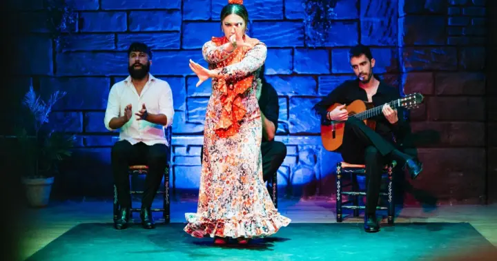 Sevilla: Baraka Sala Flamenca Espectáculo con Bebida en Triana
