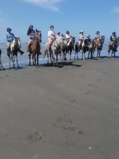 Cartagena: Horse riding on the beaches of Cartagena & PHOTOS