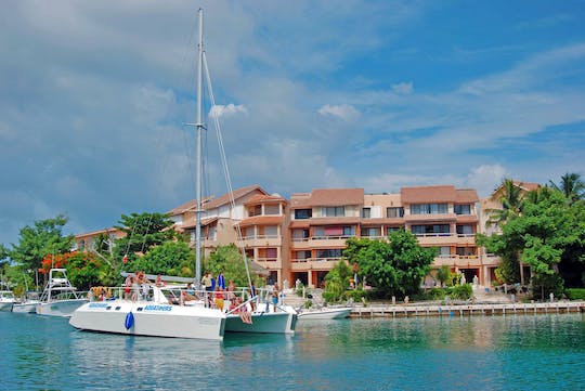 Experiencia de nado con manatíes en Puerto Aventuras