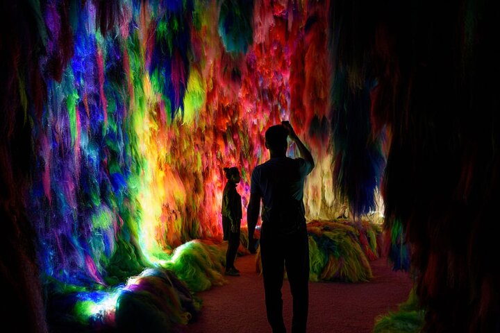 Chromo Sapiens Immerse Yourself in Color Texture and Sound