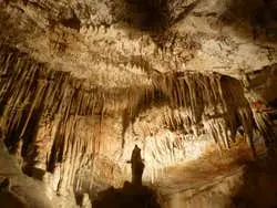 Excursión a las cuevas del Drach con concierto desde el sur de Mallorca