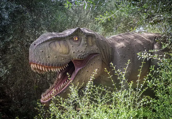 Desde Palma de Mallorca: Excursión a Dinosaurlandia