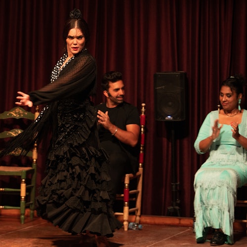 Palau Dalmases: Flamenco Show