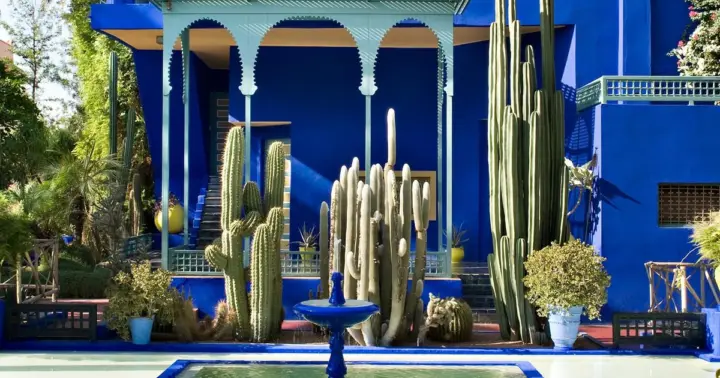 Marrakech: Jardín de Majorel, Paseo en camello por Palmerai, Excursión por la ciudad