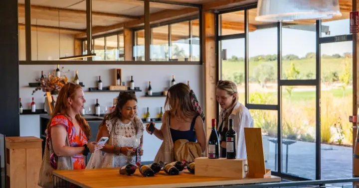 Desde Madrid: tour de 3 bodegas en la Ribera del Duero con catas