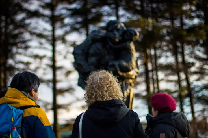 Reykjavik: Descubre el Alma Cultural de Islandia