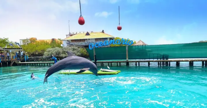 CARTAGENA: 4 islands by sport boat +oceanarium tickets