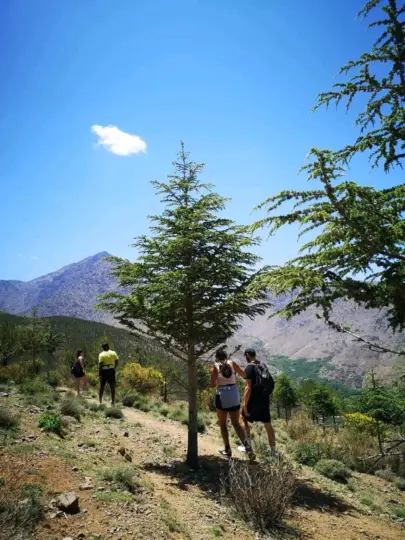 Desde Marrakech: día de senderismo en la naturaleza
