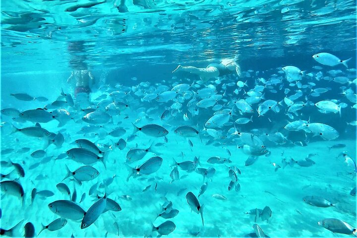 Excursión de snorkel en playas y cuevas de Ibiza