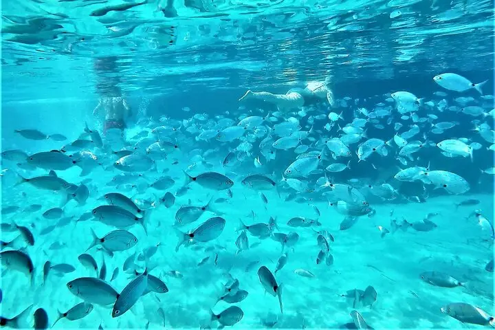 Excursión de snorkel en playas y cuevas de Ibiza