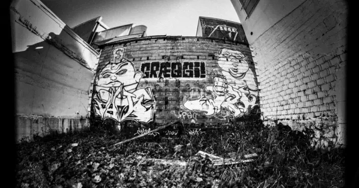 Reykjavik Street Art Backstreets and Stories