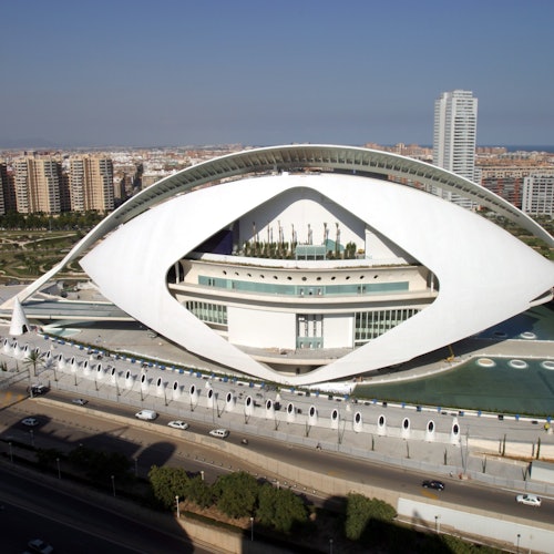 Palau de les Arts Reina Sofia: Entrada + Folleto