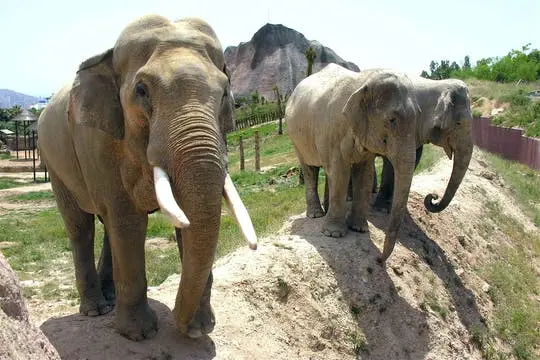 Terra Natura and-or Aqua Natura Parks with Transport