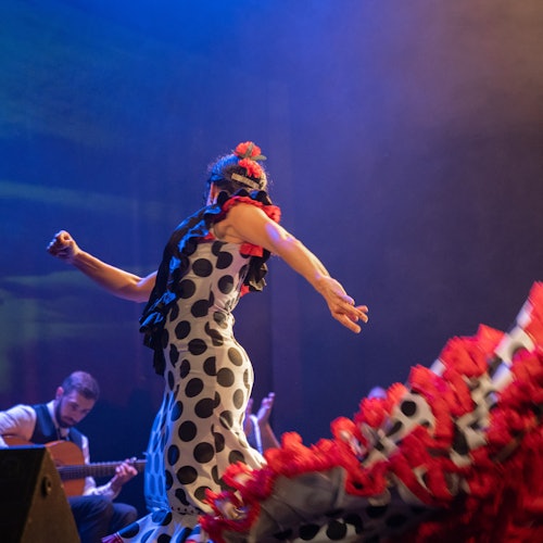 Madrid: Espectáculo Flamenco en el Teatro Flamenco