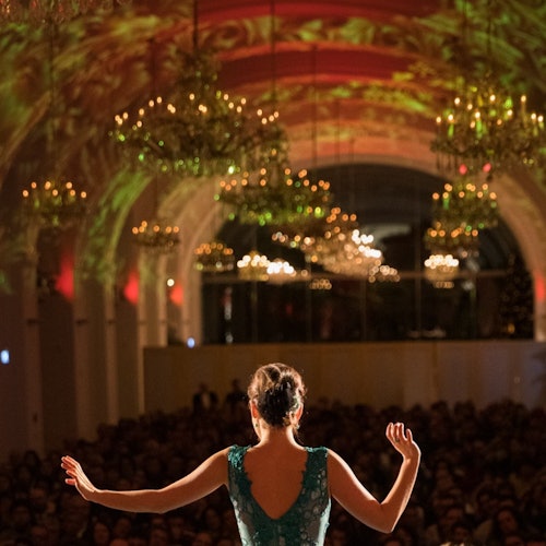 Schönbrunn Invernadero: Mercado de Navidad + Concierto