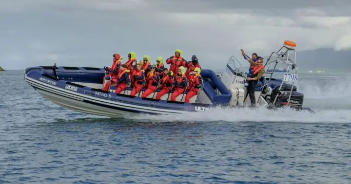 Reykjavik: Premium Whale Watching - Flexible