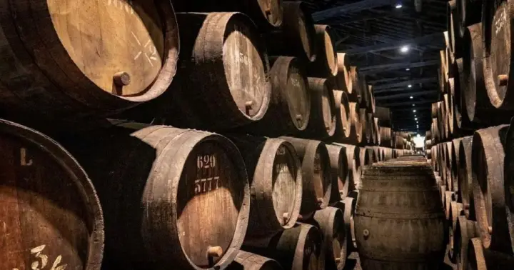 Oporto: Crucero y visita a las bodegas de vino de Oporto con fado y cena