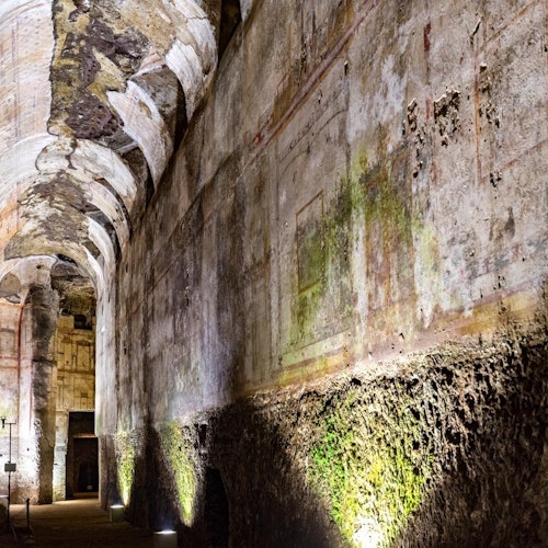 Domus Aurea: Entrada + Tour guiado