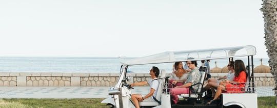 Tour en tuk tuk eléctrico por Málaga