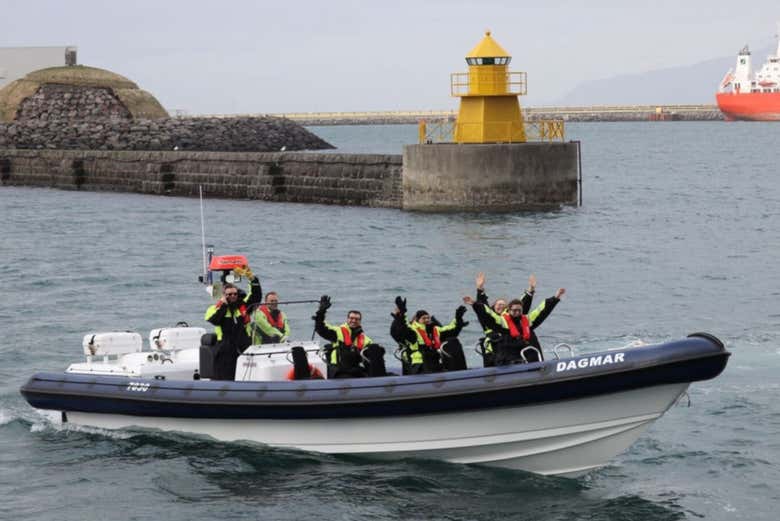 Avistamiento de ballenas en lancha rápida