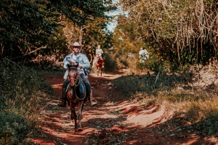 Valencia: paseo a caballo por Sierra Calderona