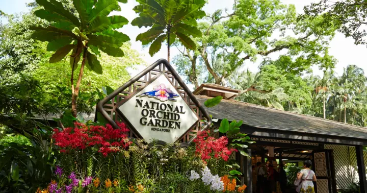 Singapur: ticket de entrada al Jardín Nacional de Orquídeas