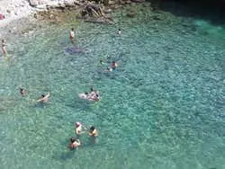 Excursión a la isla de Tabarca y el palmeral de Elche