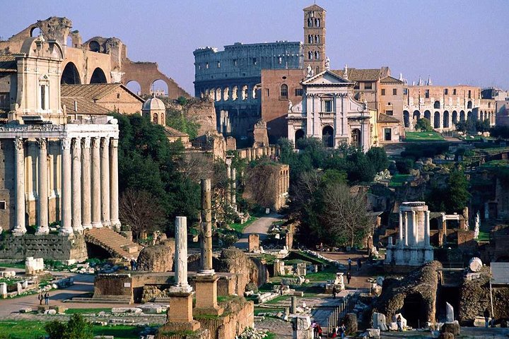 Coliseo con la arena, el Foro Romano y la excursión a la colina del Palatino