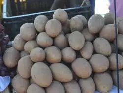 Bazurto Market Tour