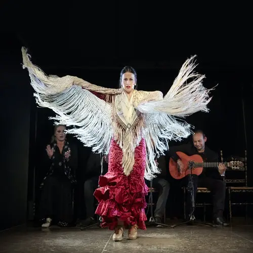 Espectáculo flamenco La Bulería con cena incluida
