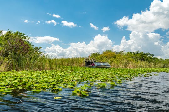 Everglades admission ticket with airboat ride and wildlife show