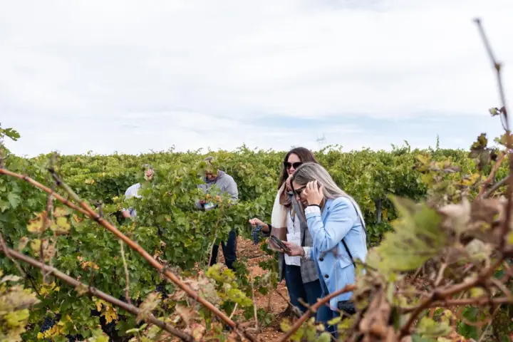 Valencia: cata de vino prémium y almuerzo gastronómico de 3 platos