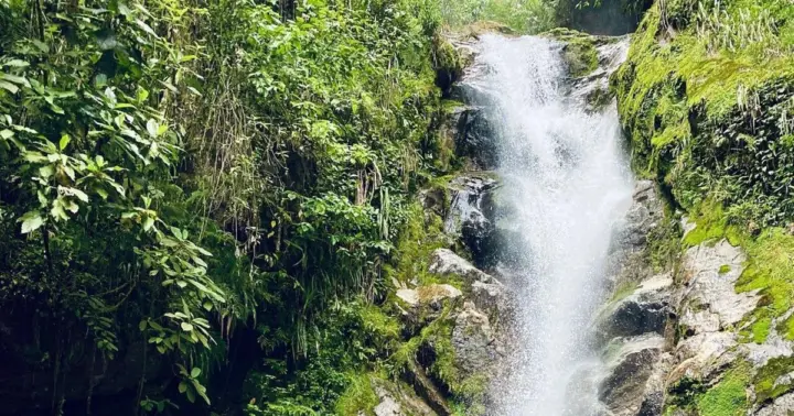 Medellín: Secret Waterfall Hike Tour with Snack and Coffee