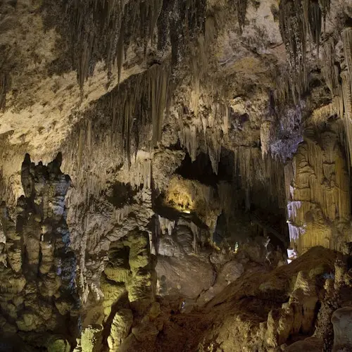 Caves of Nerja: Entry Ticket