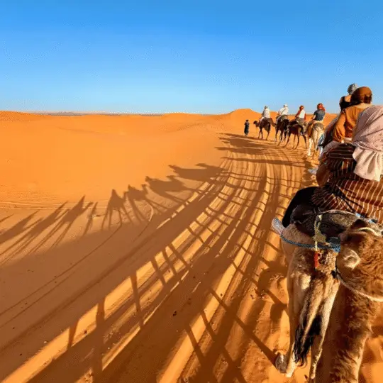 From Marrakech: 3 Day Round Trip To Merzouga Desert & Camel