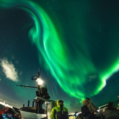 Northern Lights: 2-Hr Boat Tour + Alternative Plan