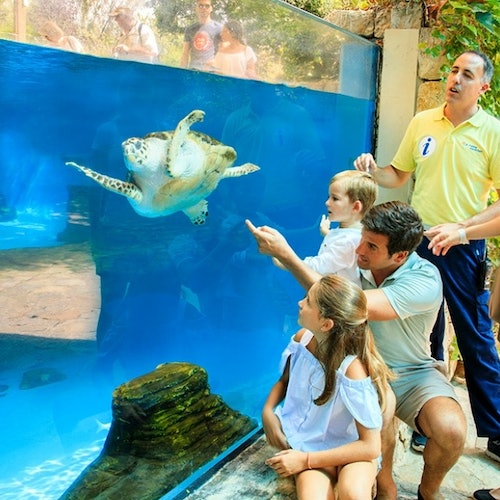 Palma Aquarium: Entrada + Traslado desde la zona de Cala Ratjada