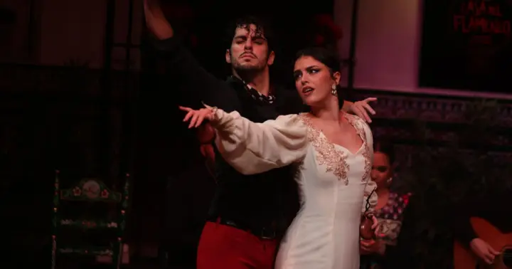 Sevilla: espectáculo de flamenco tradicional en La Casa del Flamenco