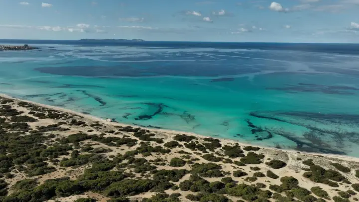 Playa de Palma: Beach Taxi transfer en barco en la costa sur hasta Es Trenc