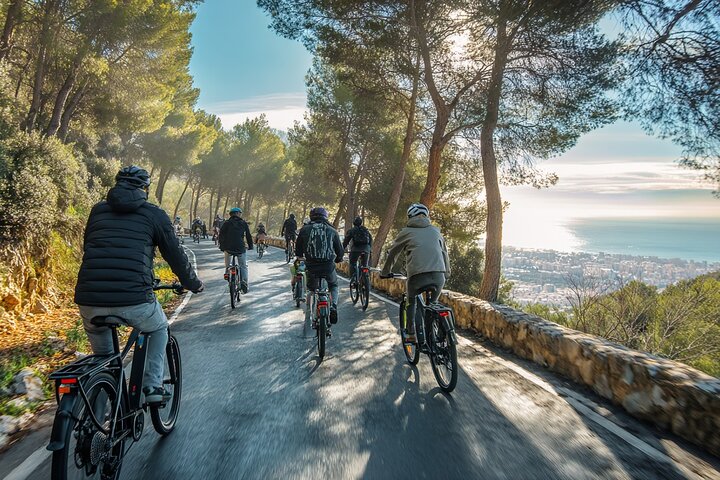 Excursión en bicicleta eléctrica de 2 horas por Málaga con bosque de Gibralfaro