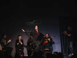 Espectáculo flamenco en el tablao Palosanto