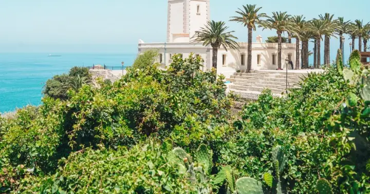 Desde la Costa del Sol: Descubre Tánger en una excursión de un día con guía