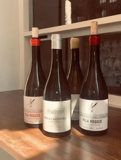 Valencia: cena gourmet y maridaje de vinos «Conoce al enólogo»