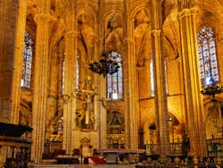 Visita guiada por la Catedral de Barcelona + Acceso a la terraza